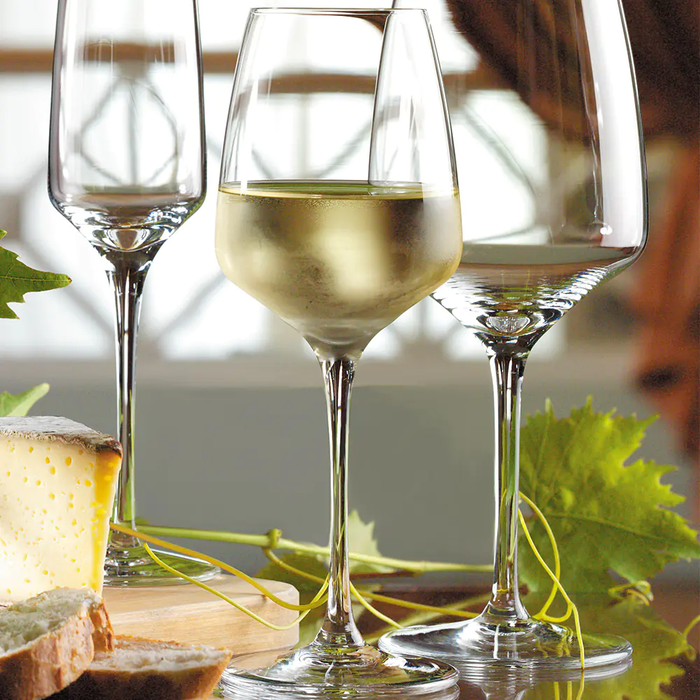 Pohár Experience na biele víno 285ml – Obrázok 3