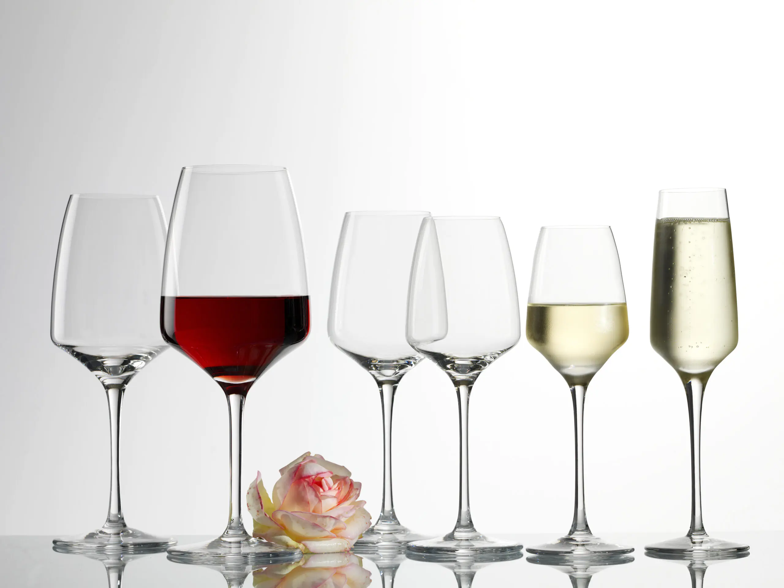 Pohár Experience na biele víno 285ml – Obrázok 4