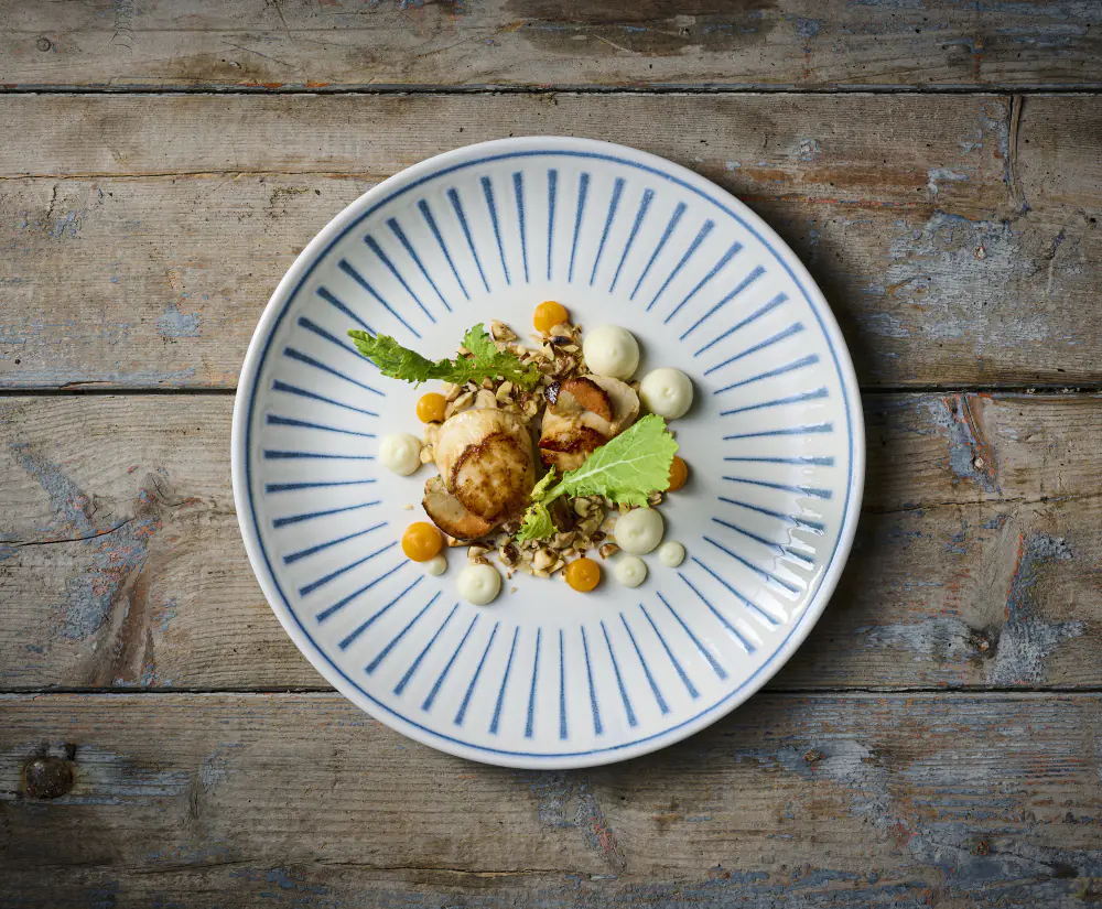 Plytký tanier Era 21,7cm – Obrázok 4